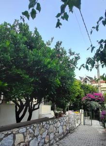 a stone wall with trees and flowers on a street at 250m to the Beach - Fully Furnished - Fast Wi-Fi in Marmaris