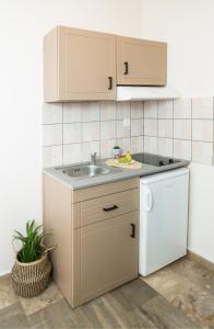 a kitchen with a sink and a white refrigerator at Ambiance Studios in Masouri