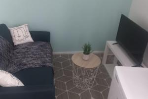 a living room with a couch and a tv at LE MONISTROL in Monistrol-sur-Loire