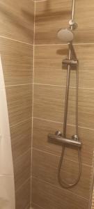 a shower with a shower head in a bathroom at LE MONISTROL in Monistrol-sur-Loire