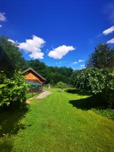 Zahrada ubytování Holiday Home - Goričko Park + 16 fotografií