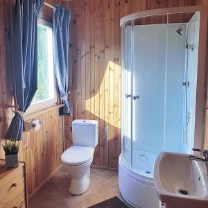 a bathroom with a toilet and a shower and a sink at Sarni Zakątek in Rybno +39 photos