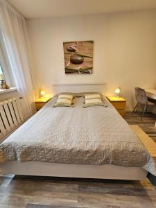 1 dormitorio con 1 cama grande y 2 almohadas en Apartament Flaming en Jurata