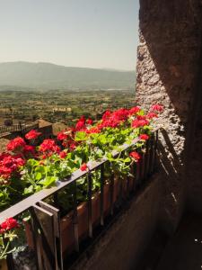 Fotografie z fotogalerie ubytování Le Stanze Del Duomo v destinaci Anagni