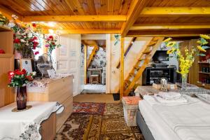 ブダペストにあるブダペスト セントラル アパートメンツのキッチン、リビングルームが備わります。