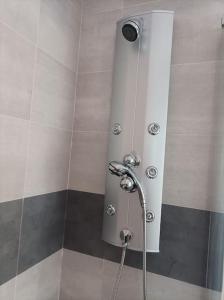 a shower with a shower head in a bathroom at Casa rural en Sariego in Villar