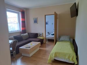 ein Wohnzimmer mit einem Sofa und einem Tisch in der Unterkunft Apartament Borowiacki in Tuchola