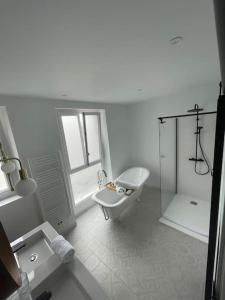 a white bathroom with a sink and a shower at Le grand Michelet centre de tours in Tours