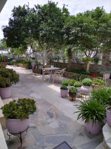 A garden outside Pansion Matoula