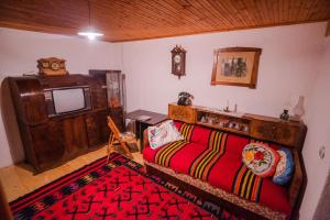 1 dormitorio con 1 cama, TV y alfombra en Apartment in Antique Museum Filip en Krklino