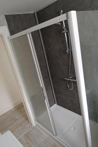 een douche met een glazen deur in de badkamer bij Apt RDC Au coteau des xettes in Gérardmer