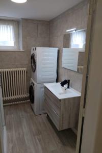 een badkamer met een wasmachine en een wastafel bij Apt RDC Au coteau des xettes in Gérardmer