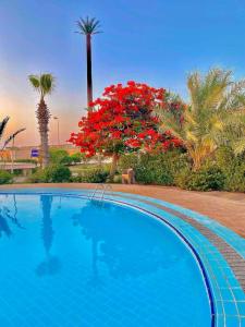 Bazén v ubytování 50% Off. 2BR , 2BR Ground floor with pool view, private beach access, security 24/7 شاليه ٢ غرفه ، ٢ حمام ف الدور الارضي قدام جنينه و حمام السباحه مباشره ، شاطيء خاص بالقرية و أمن ٢٤ ساعه و مسجد خاص nebo v jeho okolí