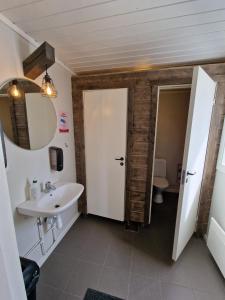 a bathroom with a sink and a mirror and a toilet at Sonfjällscampen in Hede