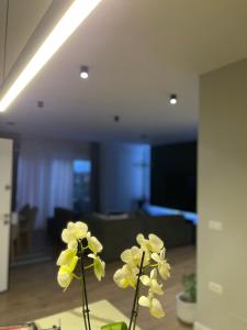 Afbeelding uit fotogalerij van Villa 22 in Tirana +24 foto's