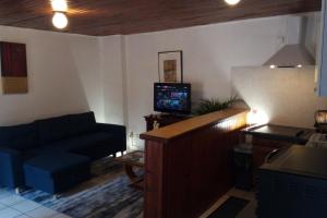 ein Wohnzimmer mit einem Sofa und einem TV in der Unterkunft Appartement entier, La Chacuniere in Saint-Amant-Tallende