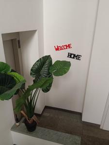 une plante sur un mur avec un panneau indiquant « conseils, amour » dans l'établissement Liberty House Alps, à Châtillon