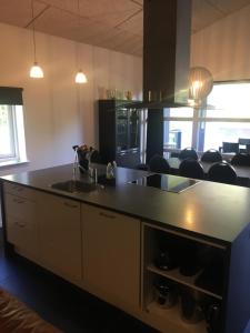 eine Küche mit einer Spüle und einer Arbeitsplatte in der Unterkunft Lerbæk Fiskepark in Frederikshavn