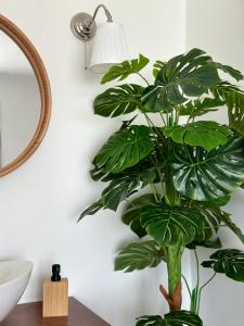 ティガキにあるLi Mangoの鏡の横のバスルームに植物