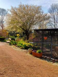 a garden with flowers and a shed with plants at Le Marais des Littes in Chonas-lʼAmballan