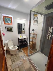 a bathroom with a toilet and a glass shower stall at Hill Chalet in Beliş