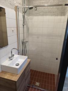 uma casa de banho com um lavatório e um chuveiro em Uitrusthuisje em Erm