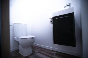 uma casa de banho com um WC e um lavatório em Appartement entier Le 1er Balnéothérapie Romantique em Bagnères-de-Bigorre