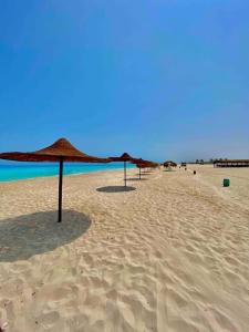 Pantai di atau dekat dengan apartmen