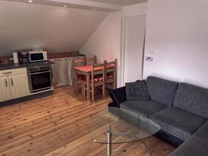Kuchyň nebo kuchyňský kout v ubytování Apartmán Nejdek + 10 fotografií