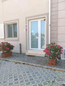 een huis met twee potplanten voor een deur bij MonoPat in Marina di Pisa