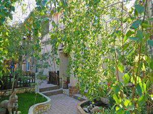 Сад в Apartment San