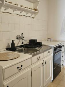 Kuchyň nebo kuchyňský kout v ubytování Apartment Školj