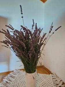 Fotografie z fotogalerie ubytování Apartment Školj v destinaci Posedarje