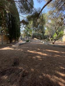 einen Park mit Bäumen und einer unbefestigten Straße in der Unterkunft Villa Romana in Santa Maria di Leuca