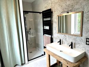 uma casa de banho com um lavatório, um chuveiro e um espelho. em Gîte des Tourterelles em Épineuil-le-Fleuriel