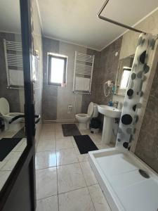 a bathroom with a shower and a toilet and a sink at Pensiunea Poiana Dornei in Vatra Dornei