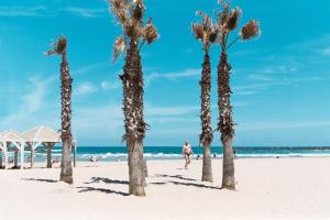 WOM Beach Pod Hotel - a member of Brown Hotels في تل أبيب: مجموعة من أشجار النخيل على الشاطئ