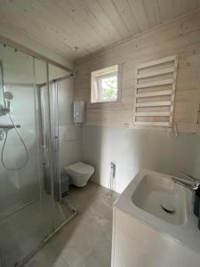een badkamer met een douche, een wastafel en een toilet bij Domek Pod Brzozami 