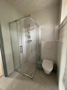 een badkamer met een douche en een toilet bij Domek Pod Brzozami 