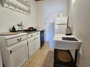 Kuchyň nebo kuchyňský kout v ubytování Apartment Školj