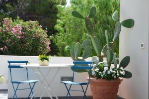 Gallery image of Le Stelle Sea Rooms in San Vito lo Capo