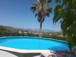 a swimming pool with a palm tree in the background at Casita Melanie in Alhaurín el Grande