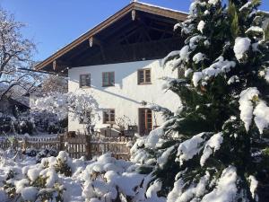 a snow covered tree in front of a house at Der Birkenhof-Ried in Pfaffing