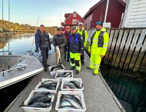 Photo de la galerie de l'établissement Nautnes Seaside Apartments, à Nautnes