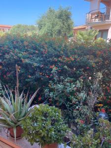 A garden outside A casa di Oba, a pochi minuti dal mare (IUN P9041)