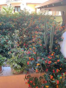 A garden outside A casa di Oba, a pochi minuti dal mare (IUN P9041)