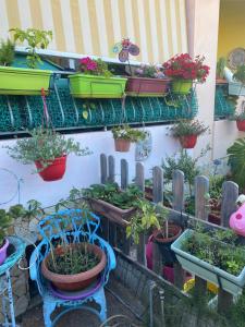 A garden outside A casa di Oba, a pochi minuti dal mare (IUN P9041)