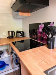 een keuken met een aanrecht met een fornuis top oven bij Ferien am Maar in Daun