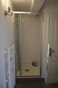 W łazience znajduje się prysznic ze szklanymi drzwiami. w obiekcie Gîte Almanda - Calme & Nature - Mas Lou Castanea w mieście Collobrières