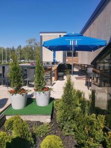 a patio with three potted plants and a blue umbrella at Hotel Tikkurila in Vantaa